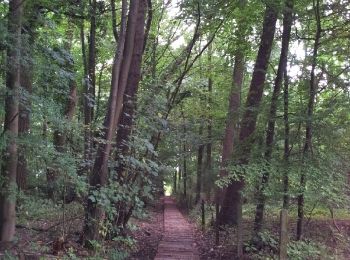 Trail Walking Halle - Buizingen - cimetière - Photo