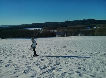 Trail Snowshoes Haut Valromey - Raquette Lachat - Photo