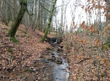 Randonnée Course à pied Lerrain - lerrain-maupotel - Photo