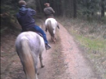 Tour Pferd Marsac-en-Livradois - rando équestre le mirat - Photo