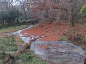 Randonnée Marche Coufouleux - Rabastens-Boucle du Tarn.R - Photo