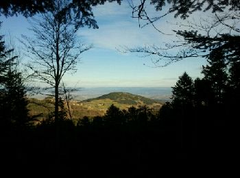 Trail Walking Roche - Tour du pic de Glizieux - Photo