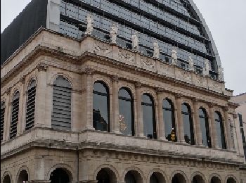 Tour Wandern Lyon - Lyon 25-01-2014 - Photo