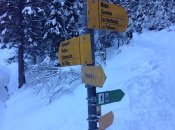 Randonnée Raquettes à neige Troistorrents - La Foilleuze - Madzé - Morgins - Photo