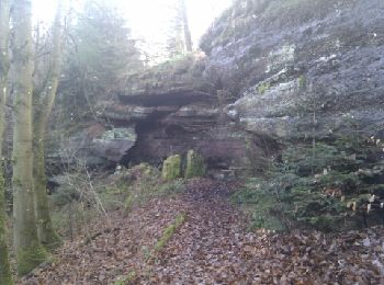 Percorso Marcia Ottersthal - Autour du col de Saverne - Photo