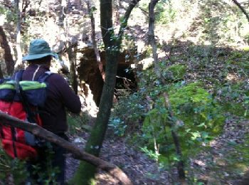 Tour Wandern Roquebrun - Vieussan Ceps - Photo