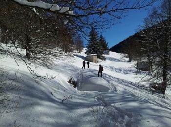 Randonnée Raquettes à neige Melles - Melles - Photo