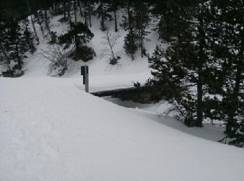 Trail Snowshoes La Llagonne - tour des lacs - Photo