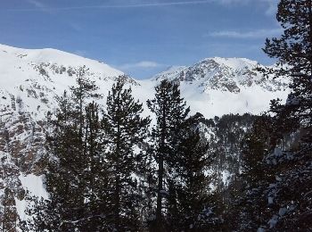 Tour Schneeschuhwandern Cervières - Le Laus - Vers Izoard par le sentier de la Mule - Photo