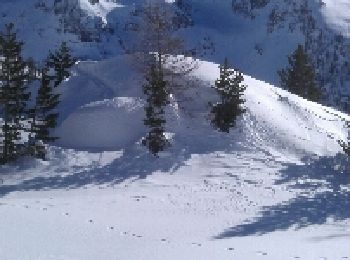 Randonnée Raquettes à neige Saint-Martin-Vésubie - lac du boreon refuge de la cougourde  - Photo