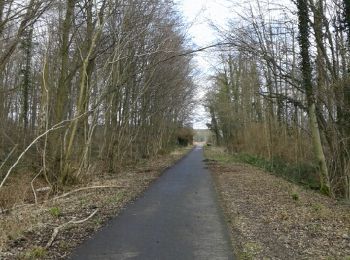 Trail Walking Binche - bois des communes - Photo