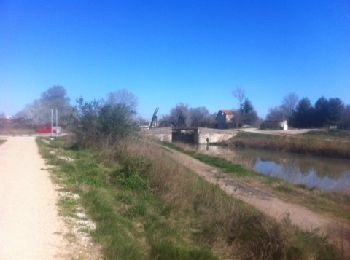 Percorso Corsa a piedi Arles - barriol_1 - Photo