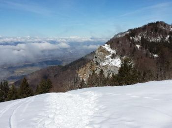 Tour Schneeschuhwandern Arith - Arith - Photo