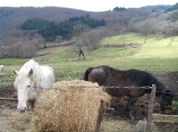 Trail Walking Marchampt - claveisolles - Photo