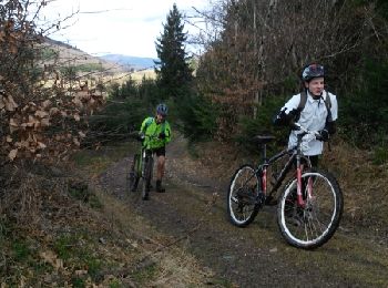Tocht Mountainbike Saint-Didier-sur-Beaujeu - claveisolles mars - Photo
