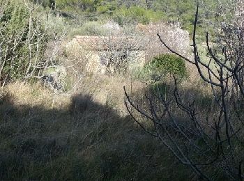 Tocht Stappen Montfort-sur-Argens - montfort correns - Photo