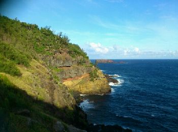 Trail Walking Petite-Île - La Réunion - Balade des 2 points de vue de Grande Anse à Petite Île. - Photo