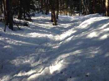 Trail Walking Arith - le crêt de la dolca  - Photo