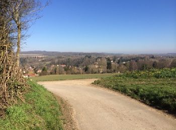 Tour Wandern Oinville-sur-Montcient - Oinville sur Moncient - Photo