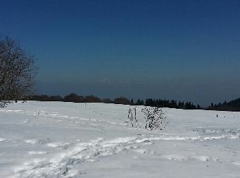 Randonnée Raquettes à neige Valserhône - Le retord - Photo