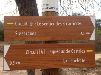 Trail Walking Castries - Aqueduc de Cstries - Photo