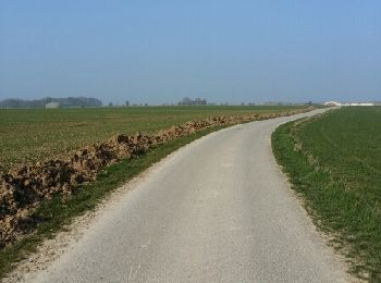 Tocht Stappen Dury - dury - Photo