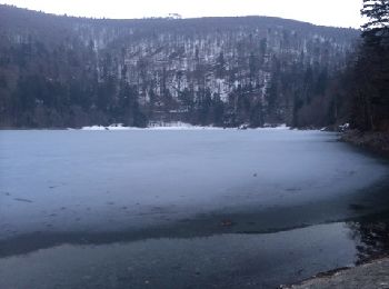 Trail Walking Lautenbachzell - Les deux lac du florival - Photo