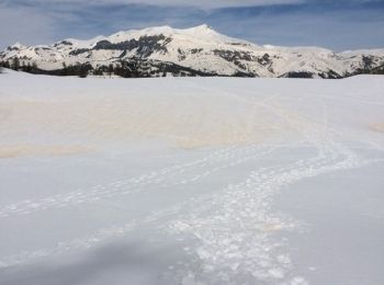 Percorso Racchette da neve Boglio -  balade raquette (beuil les launes) - Photo