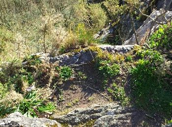Tour Wandern Saint-Philbert-sur-Orne - Autour des roches d'oetre - Photo