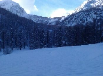 Percorso Racchette da neve Tenda - vallons de la minière  - Photo