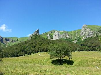 Excursión Senderismo Chambon-sur-Lac - Boucle Chaudefour Sancy - Photo