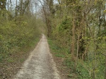 Trail Walking Nanteuil-lès-Meaux - Nanteuil-Beauval-Nanteuil - Photo