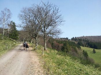 Tour Wandern Schönenberg - Champ du Feu - Photo