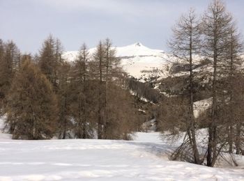Trail Snowshoes Roubion - col de la couillole - Photo