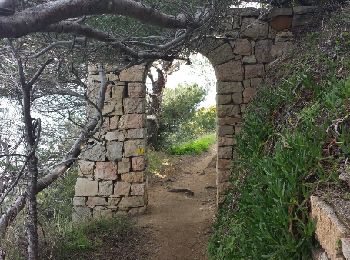 Trail Walking Saint-Tropez - saint tropez - Photo