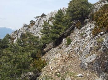 Trail Walking Duranus - Cime de Roccassièra depuis l'Engarvin - Photo