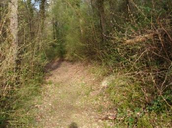 Trail Walking Buno-Bonnevaux - buno bonneveau - Photo