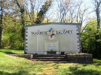 Excursión Marcha nórdica Saligney - Saligney - Mont de Vassange - Photo