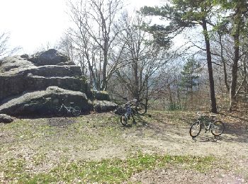 Trail Mountain bike Tence - tour roche druidique - Photo