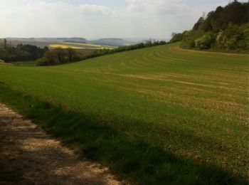 Trail Walking Chitry - marche chitry 2014 - Photo