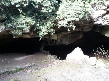 Percorso Marcia Signes - grotte du mounoi signes - Photo