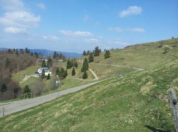 Tour Wandern Linthal - Markstein - Photo