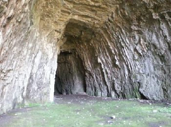 Percorso Corsa a piedi Chamesol - grotte du château des roches - Photo