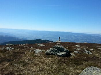 Tour Wandern Sauvain - Montagne de Monthiaillier - Photo