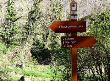 Randonnée Marche Bézaudun-les-Alpes - Mouton d'Anou depuis Bezaudin - Photo