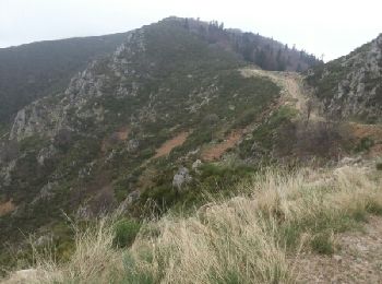Trail Walking Largentière - Le Tanargue en 2 jours - Photo