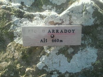 Tour Wandern Ispoure - Pic d'ARRADOY Ispoure - Photo