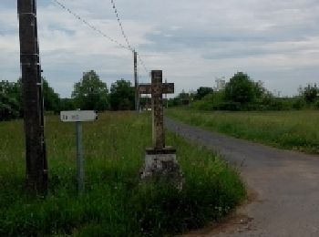 Trail Walking Rouffignac-Saint-Cernin-de-Reilhac - Rouffignac - Photo