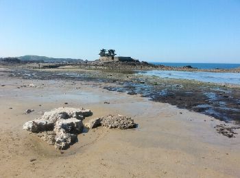 Tour Wandern Saint-Malo - GR 34 étape 10 - Photo