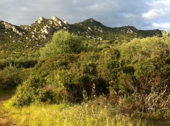 Tocht Stappen Ajaccio - promenade Crète  - Photo